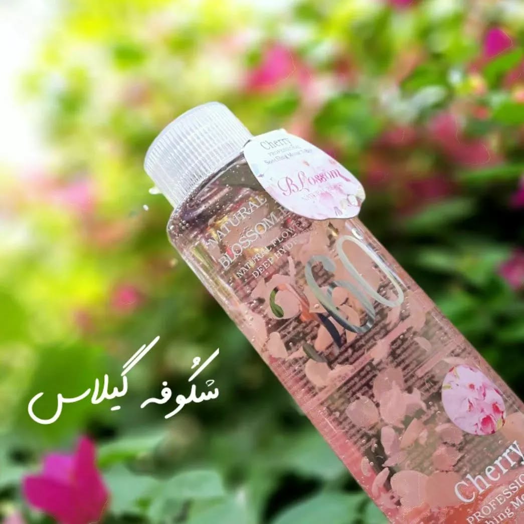 شکوفه گیلاس